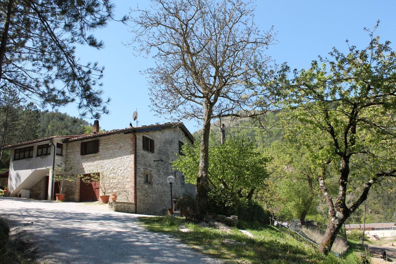 B&B Paradiso Gubbio Zewnętrze zdjęcie