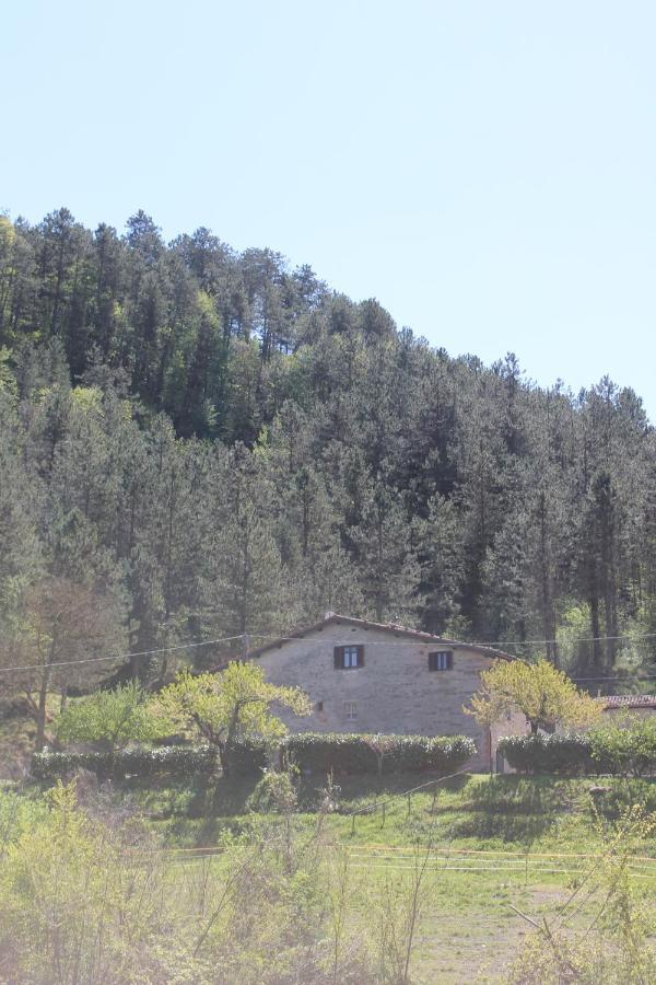 B&B Paradiso Gubbio Zewnętrze zdjęcie