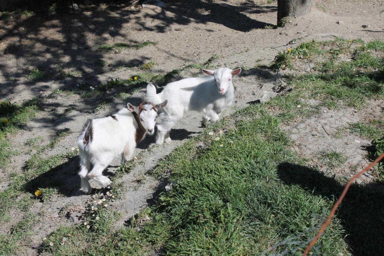 B&B Paradiso Gubbio Zewnętrze zdjęcie