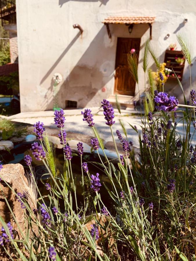 B&B Paradiso Gubbio Zewnętrze zdjęcie